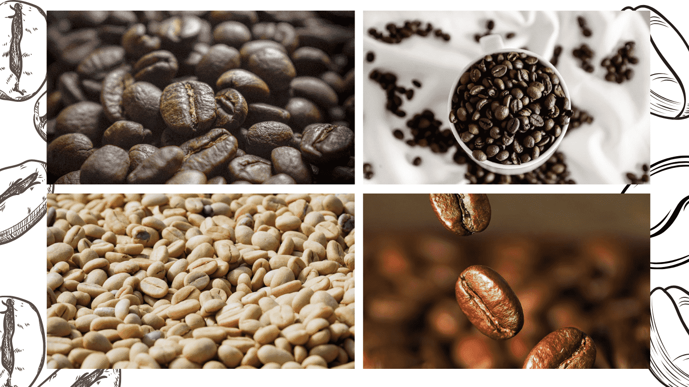 different types of coffee beans