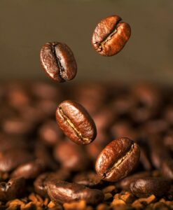 robusta coffee beans